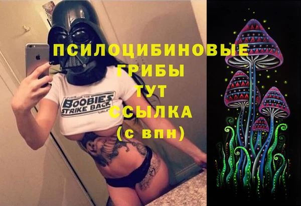 прущая мука Алзамай