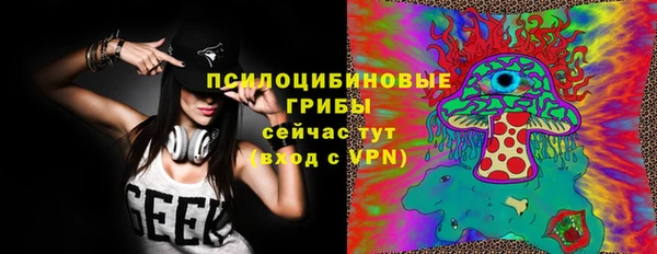 сатива Алексин