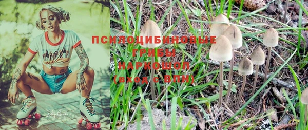 прущая мука Алзамай