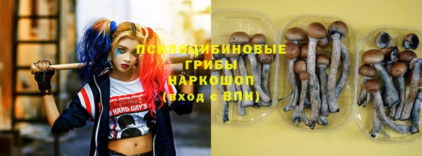 прущая мука Алзамай